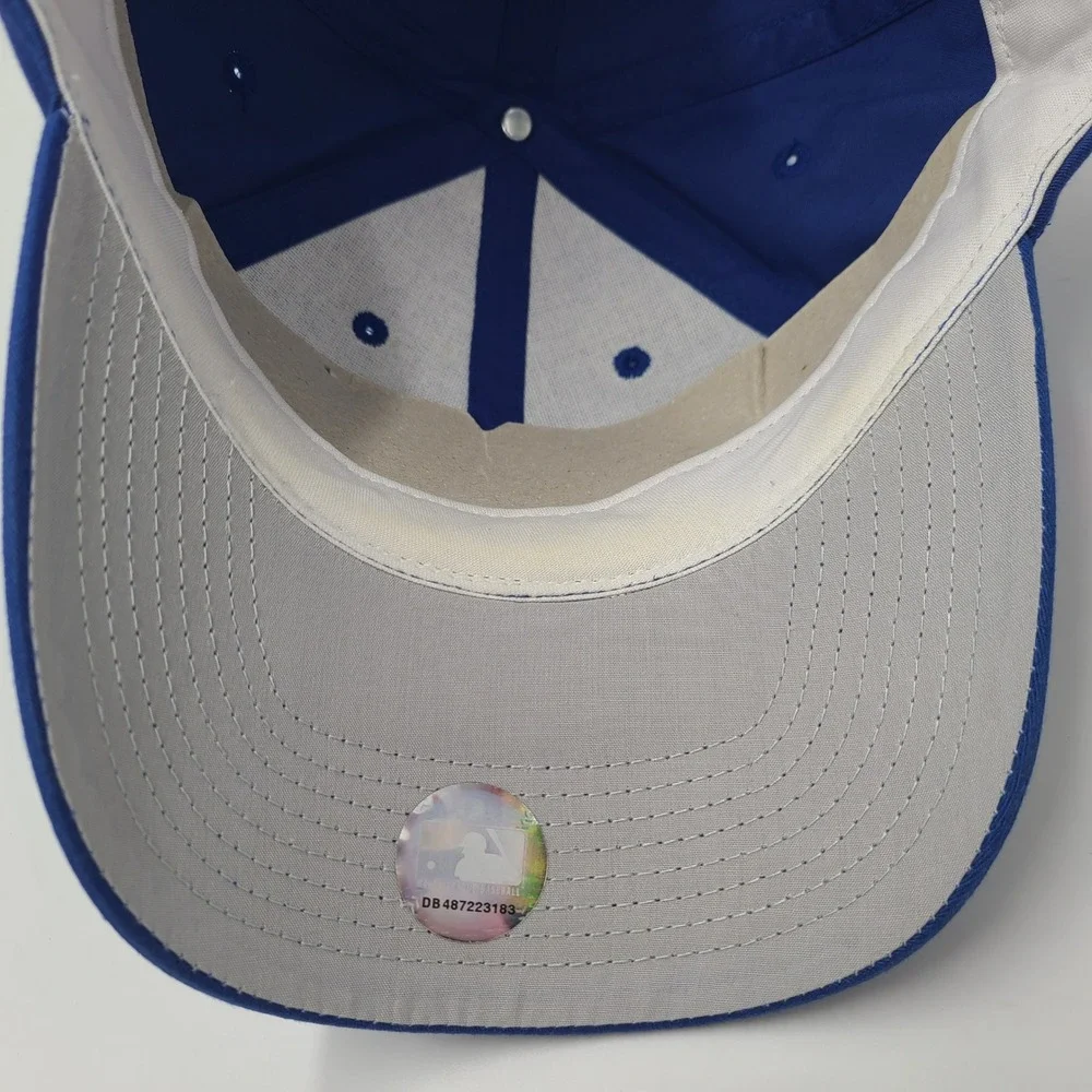 outdoor cap Company chicago cubs